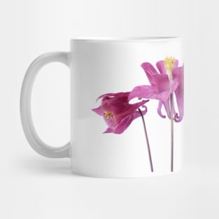 Aquilegia  Columbine Mug